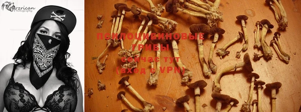 героин Абаза